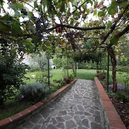 In Grotta Nell'alto Mugello A